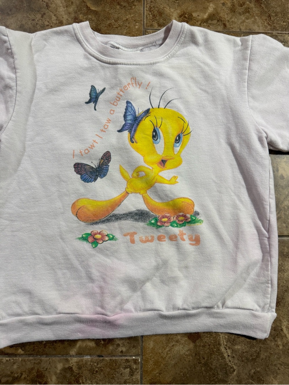 Vintage Warner Bros. Tweety Pullover in Light Lavender with Yellow Graphic